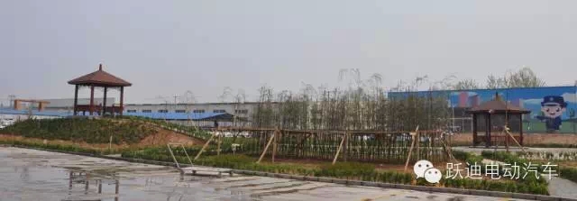 春暖花開、綠色躍迪---躍迪集團(tuán)綠化工作進(jìn)行中！