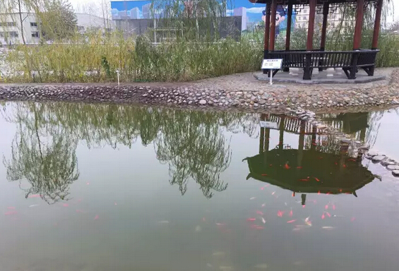 下雪天的躍迪集團(tuán)，咱也跟跟風(fēng)。。。