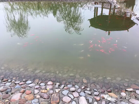 下雪天的躍迪集團(tuán)，咱也跟跟風(fēng)。。。