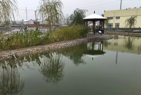 下雪天的躍迪集團(tuán)，咱也跟跟風(fēng)。。。