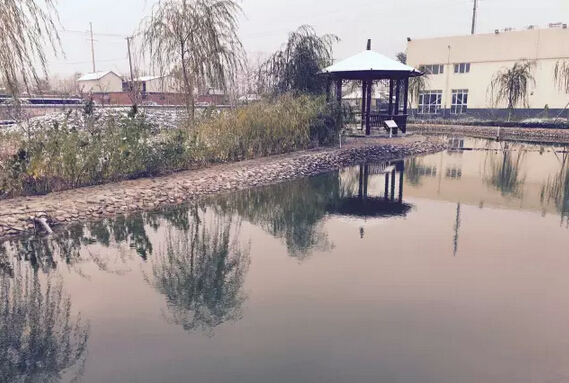 下雪天的躍迪集團(tuán)，咱也跟跟風(fēng)。。。