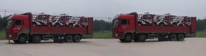 躍迪移動城管執(zhí)法站、躍迪電動巡邏車大批量發(fā)往首都北京——有躍迪，才安心