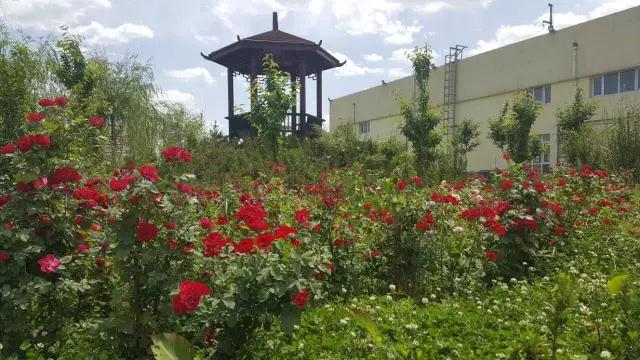 躍迪十年發(fā)展引人贊，百年躍迪輝煌令人盼