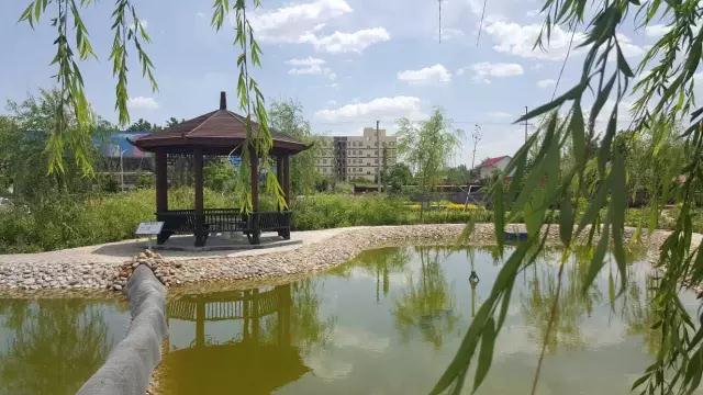 躍迪十年發(fā)展引人贊，百年躍迪輝煌令人盼