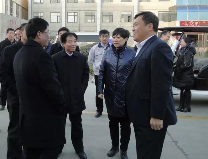 鹿泉區(qū)四大班子及各級領導觀摩考察躍迪集團