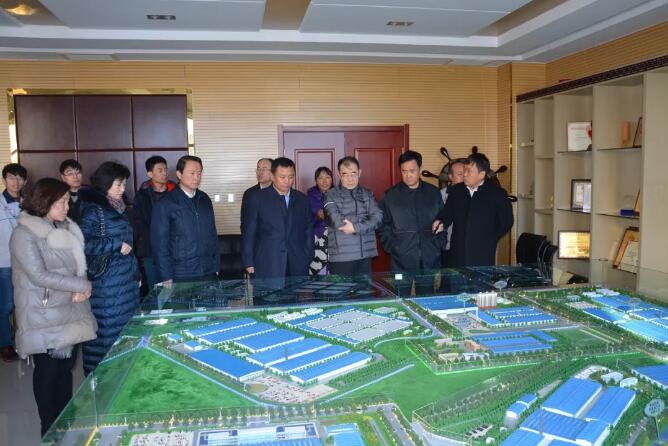河北省政協(xié)副主席許寧一行蒞臨躍迪集團參觀指導工作
