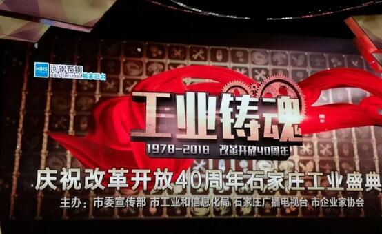 重磅|躍迪旗下河北新宇宙榮獲石家莊市“工業(yè)鑄魂”大型評選活動金雁獎(jiǎng)