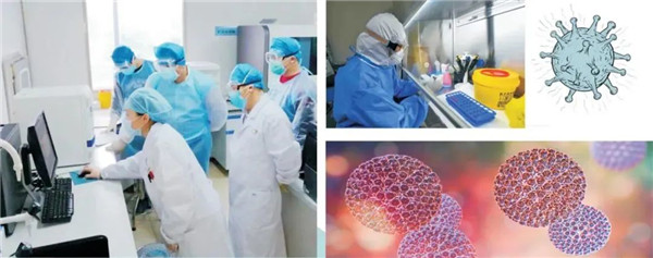 及時(shí)部署、快速檢測——躍迪移動PCR核酸檢測方艙在行動